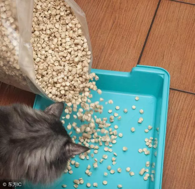 鏟屎的你真的會用貓砂嗎?