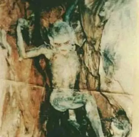 實拍:10張神秘未知生物照片合集,詭異恐怖到極致!
