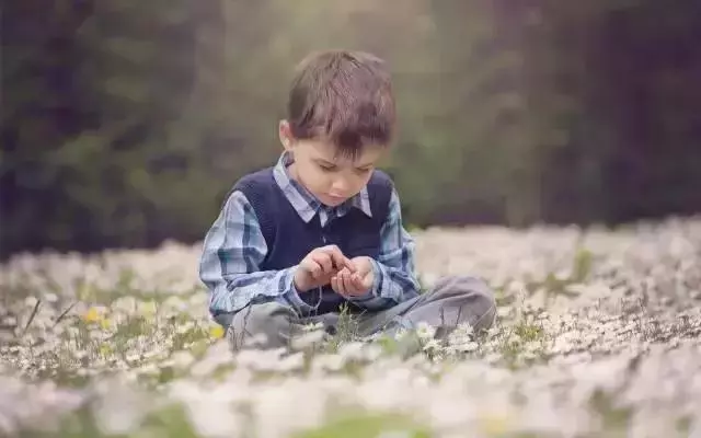 「放養」的德國幼稚教育,難怪別人小孩生活能力這麼強,還承包了一半的諾貝爾獎!