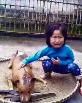 狗販用水管給狗狗插胃灌水,雖然很痛但它還在搖尾巴……