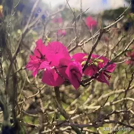 阿信博客|明天之後,對你見到的每一個人微笑