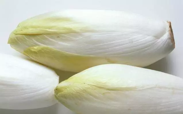 Famaosinmalaysia - 冰箱裡常放的【3種食物】,尿酸高的人別再吃!醫生推薦:10種菜,痛風的人可要多吃!