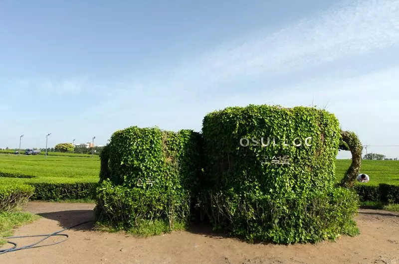暢遊韓國·濟州島13大必去景點,跟著我走就對了!