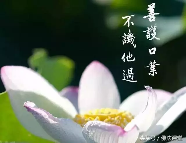 學會閉嘴才是人生最高的修行!