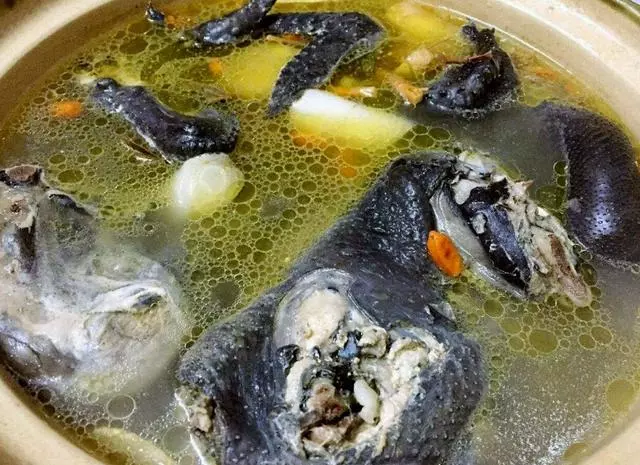 氣血不足易生病,女人常吃4物,補中益氣、增強體質,冬季少生病