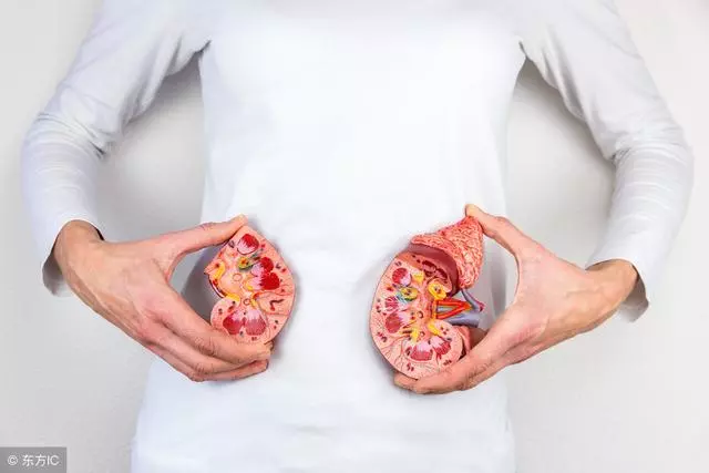 最傷腎的十種生活方式,你中了幾個?現在改正或許還來得及