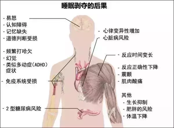 睡覺時間超過這個數,易被5種病盯上!