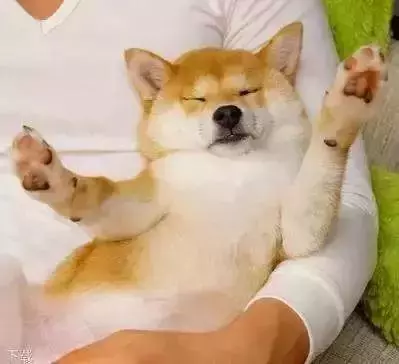 睡覺時間超過這個數,易被5種病盯上!