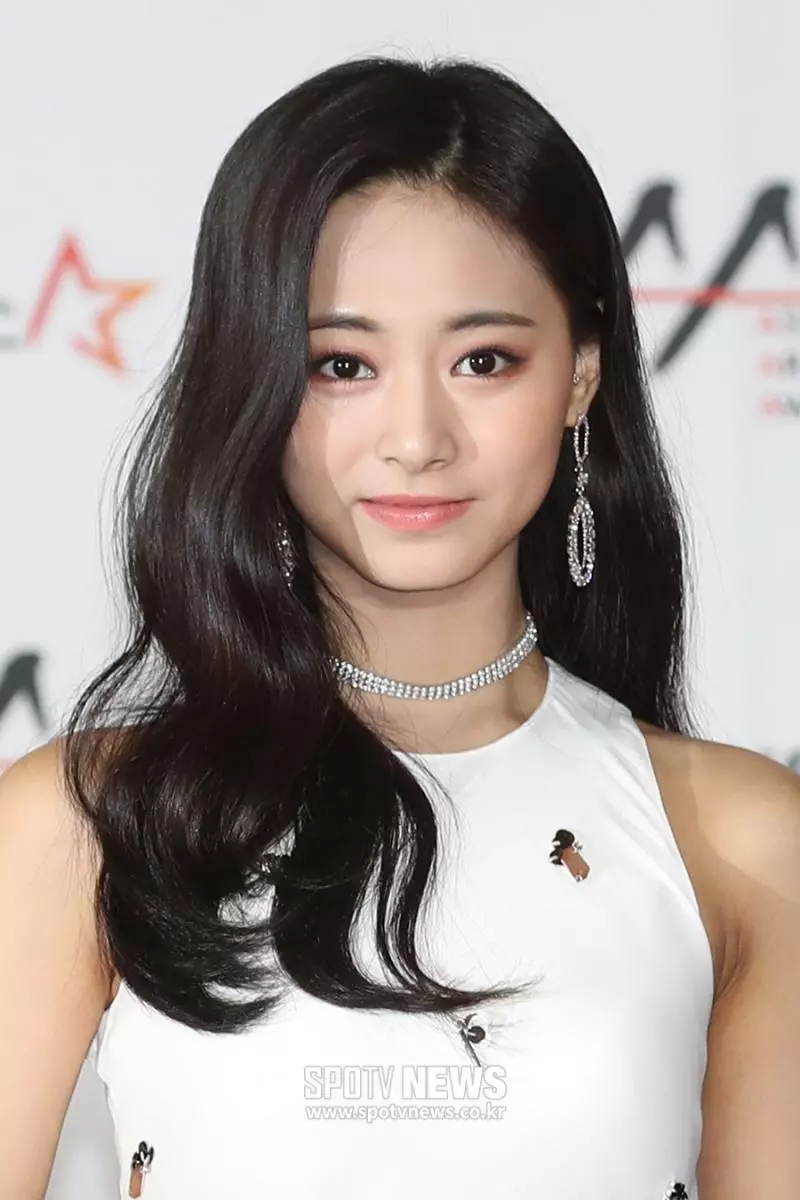 [TWICE][新聞]181128 今天也是讓人說「YES」的九兔美貌！TWICE現身「2018AAA」紅毯儀式現場