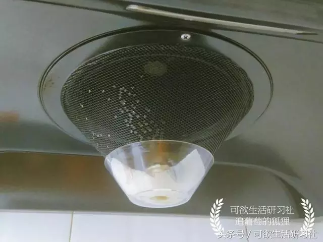 油膩灶台瞬間煥然一新?試了日本10分鐘清潔法,連百潔布都用不上