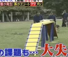 狗狗連續6年考警犬都失敗了,為了紀念它粉絲建了一尊銅像……