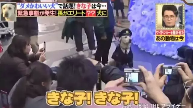狗狗連續6年考警犬都失敗了,為了紀念它粉絲建了一尊銅像……