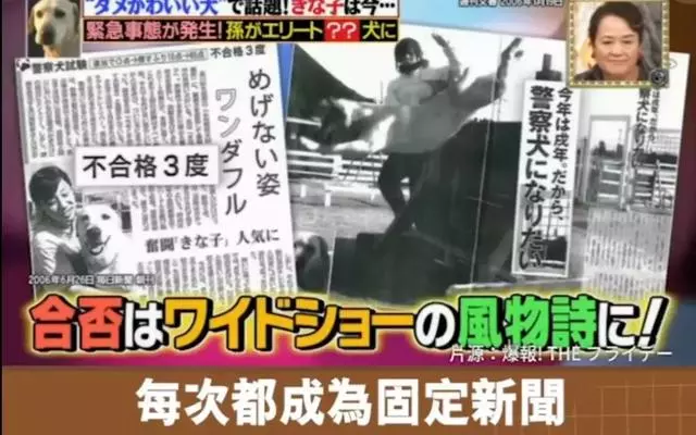 狗狗連續6年考警犬都失敗了,為了紀念它粉絲建了一尊銅像……