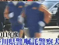 狗狗連續6年考警犬都失敗了,為了紀念它粉絲建了一尊銅像……