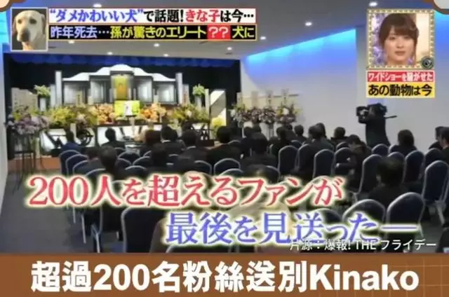 狗狗連續6年考警犬都失敗了,為了紀念它粉絲建了一尊銅像……