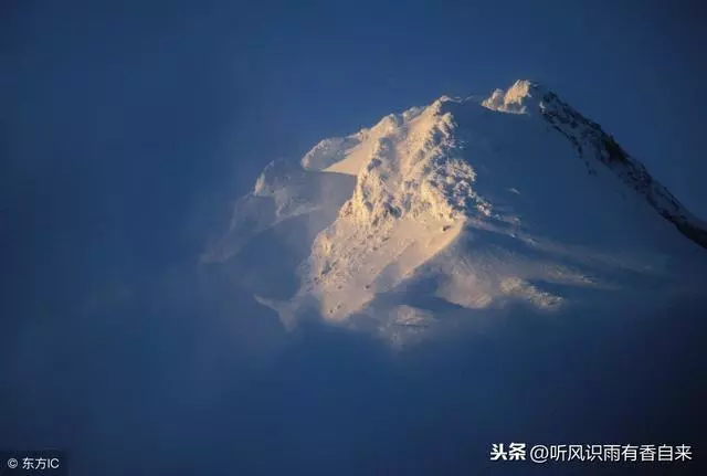 地球上最深的海溝,科學家深入8000米的海底,發現了一條奇怪的魚