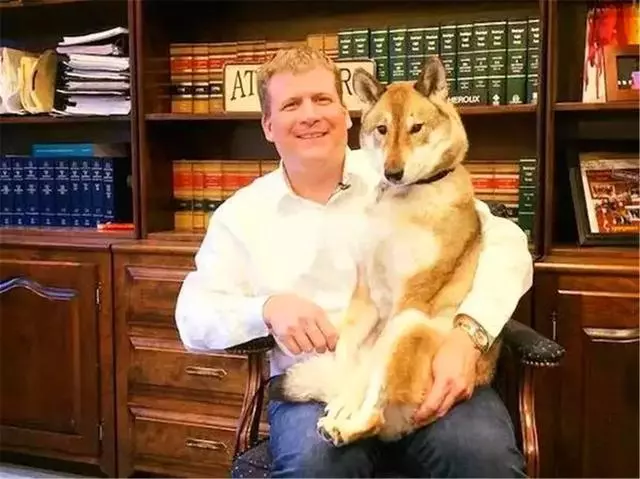 狗狗被查出癌症晚期,主人放下工作帶它旅行,陪伴愛犬最後時光
