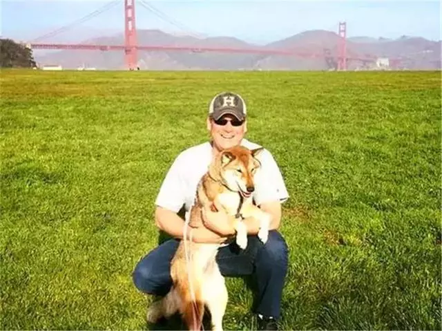 狗狗被查出癌症晚期,主人放下工作帶它旅行,陪伴愛犬最後時光