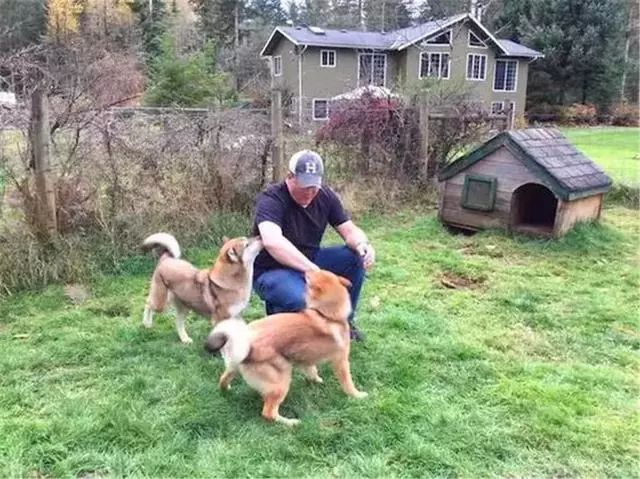 狗狗被查出癌症晚期,主人放下工作帶它旅行,陪伴愛犬最後時光