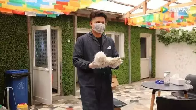 寵物殯葬師:每一個生命,都可以體面地與世界告別