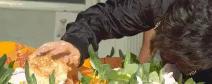 寵物殯葬師:每一個生命,都可以體面地與世界告別