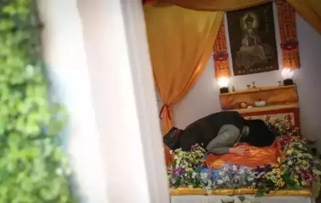 寵物殯葬師:每一個生命,都可以體面地與世界告別