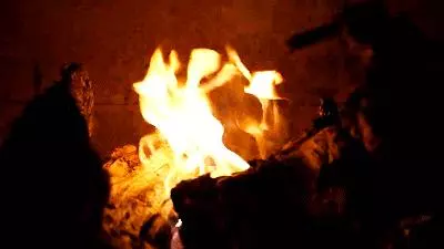 寵物殯葬師:每一個生命,都可以體面地與世界告別