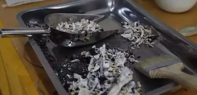 寵物殯葬師:每一個生命,都可以體面地與世界告別