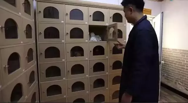 寵物殯葬師:每一個生命,都可以體面地與世界告別
