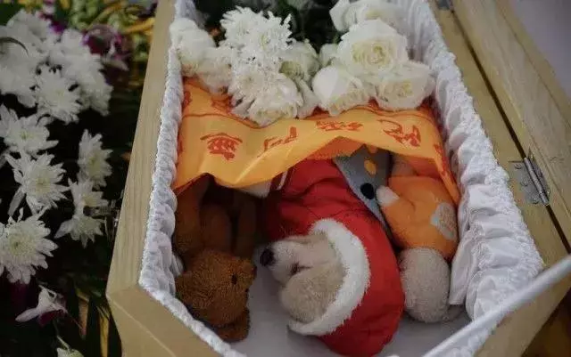 寵物殯葬師:每一個生命,都可以體面地與世界告別
