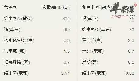 中藥大全第二篇(馬齒莧)馬齒莧的功效、作用與食用方法!