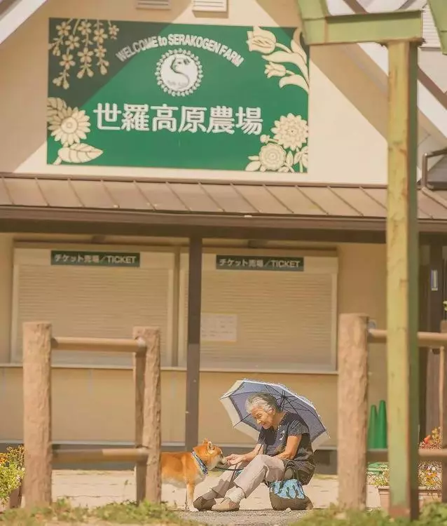 陪伴是最深情的告白,老人與狗狗照片,再一次爆紅網路!