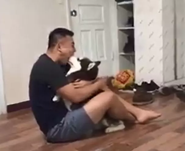 二哈在主人面前調皮亂咬，狗爸突然張嘴含住狗頭！二哈秒蒙：你比我還二！