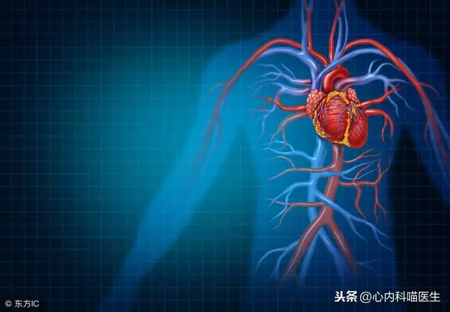 心臟不好人難長壽!專家提醒:做好十步保養法,活到九十九不是夢