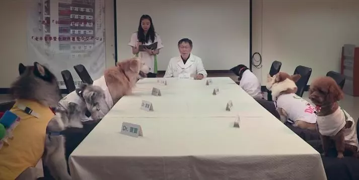 柯文哲下令從「動物之家」挑走30隻浪浪!得知「背後動機」...網友瞬間讚爆!
