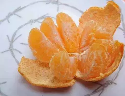 中醫認為:它個頭雖小,卻全身是寶,現在知道還不算晚!