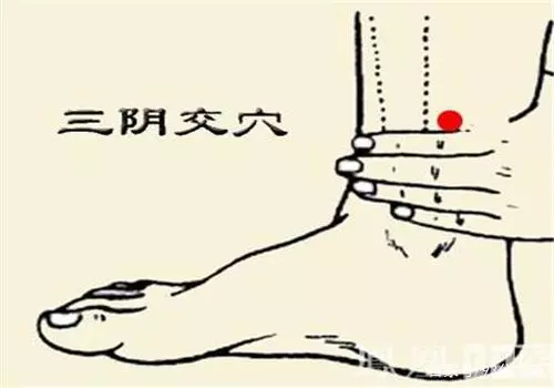 女人40後,記住「1穴1果」,推遲更年期,輕鬆延衰老!