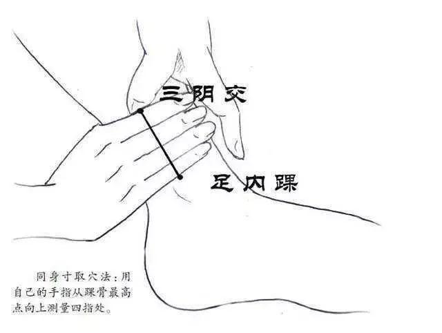女人40後,記住「1穴1果」,推遲更年期,輕鬆延衰老!