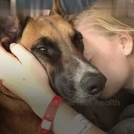 曾被三個家庭「退貨」的流浪狗,最終成為一隻優秀的服務犬