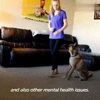 曾被三個家庭「退貨」的流浪狗,最終成為一隻優秀的服務犬