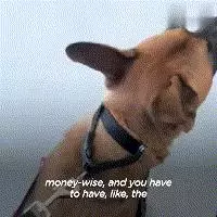 曾被三個家庭「退貨」的流浪狗,最終成為一隻優秀的服務犬