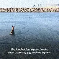 曾被三個家庭「退貨」的流浪狗,最終成為一隻優秀的服務犬