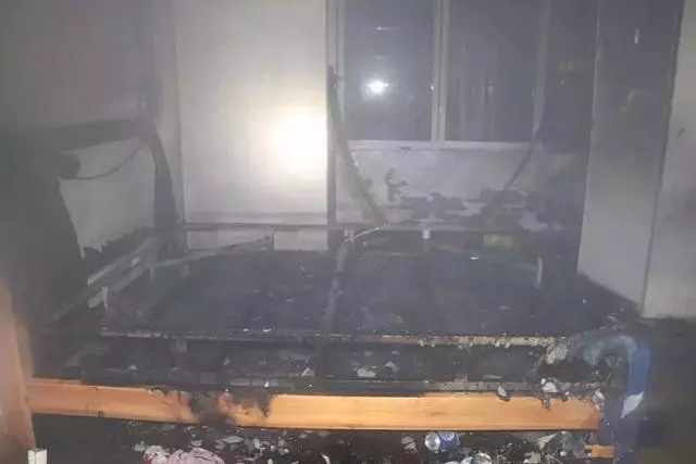 狗狗被消防員從火場救出,全身漆黑好似黑狗,被小哥溫柔照料