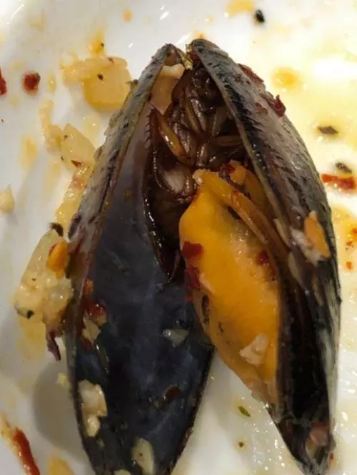 【太噁心了!】大馬網友吃完整盤海鮮Aglio Olio後,竟發現「它」藏在生蠔裡!