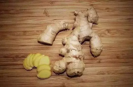 狗狗最愛聞這5種氣味,第一種聞到立馬精神