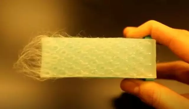 通過研究貓舌頭,科學家造了把新梳子