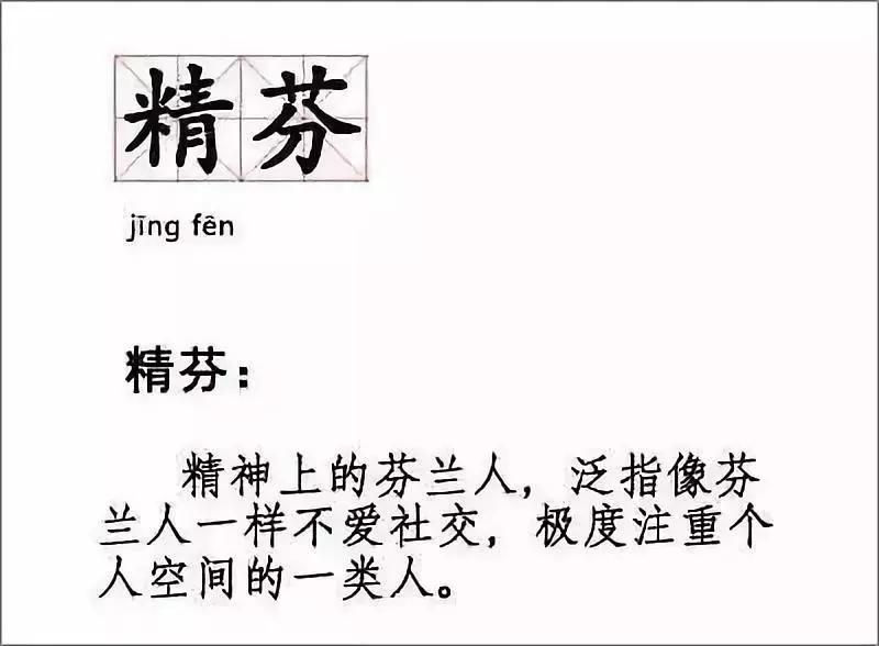 社交恐懼在芬蘭也可以活很好　聞名世界的「芬蘭距離」讓大家內心好羨慕