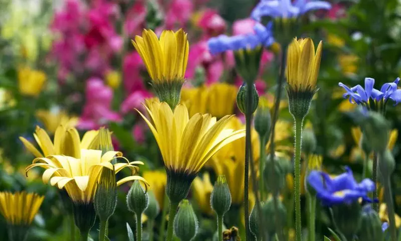 12月1號、2號好運惹不起,4大生肖貴人湧上門,橫財大發,添財招貴!