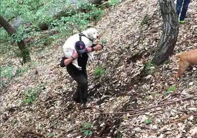 拉拉看不見走失8天了 直到鄰居在河邊「發現破爛垃圾袋」才拯救它