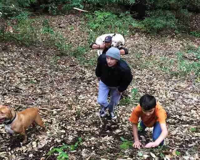 拉拉看不見走失8天了 直到鄰居在河邊「發現破爛垃圾袋」才拯救它